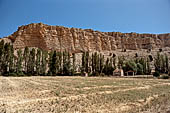Hoces del ro Riaza, Montejo Spagna - Pena Portillo appare dietro i filari di pioppi che bordano il fiume
